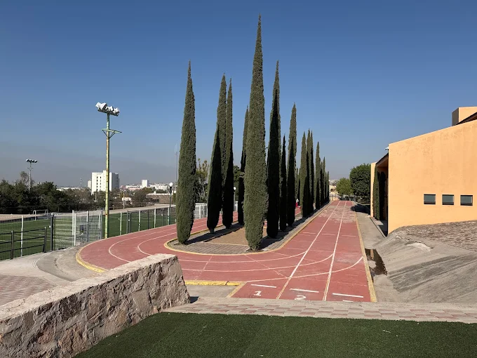 Pista atlética rodeada de cipreses